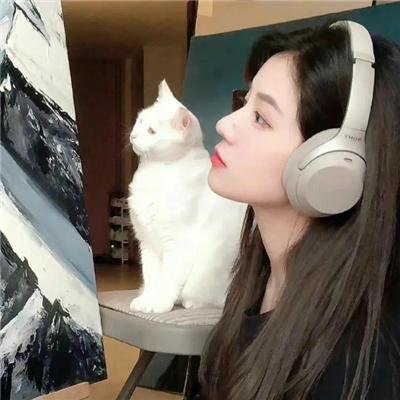 名门淑女
